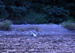0925-6.jpg